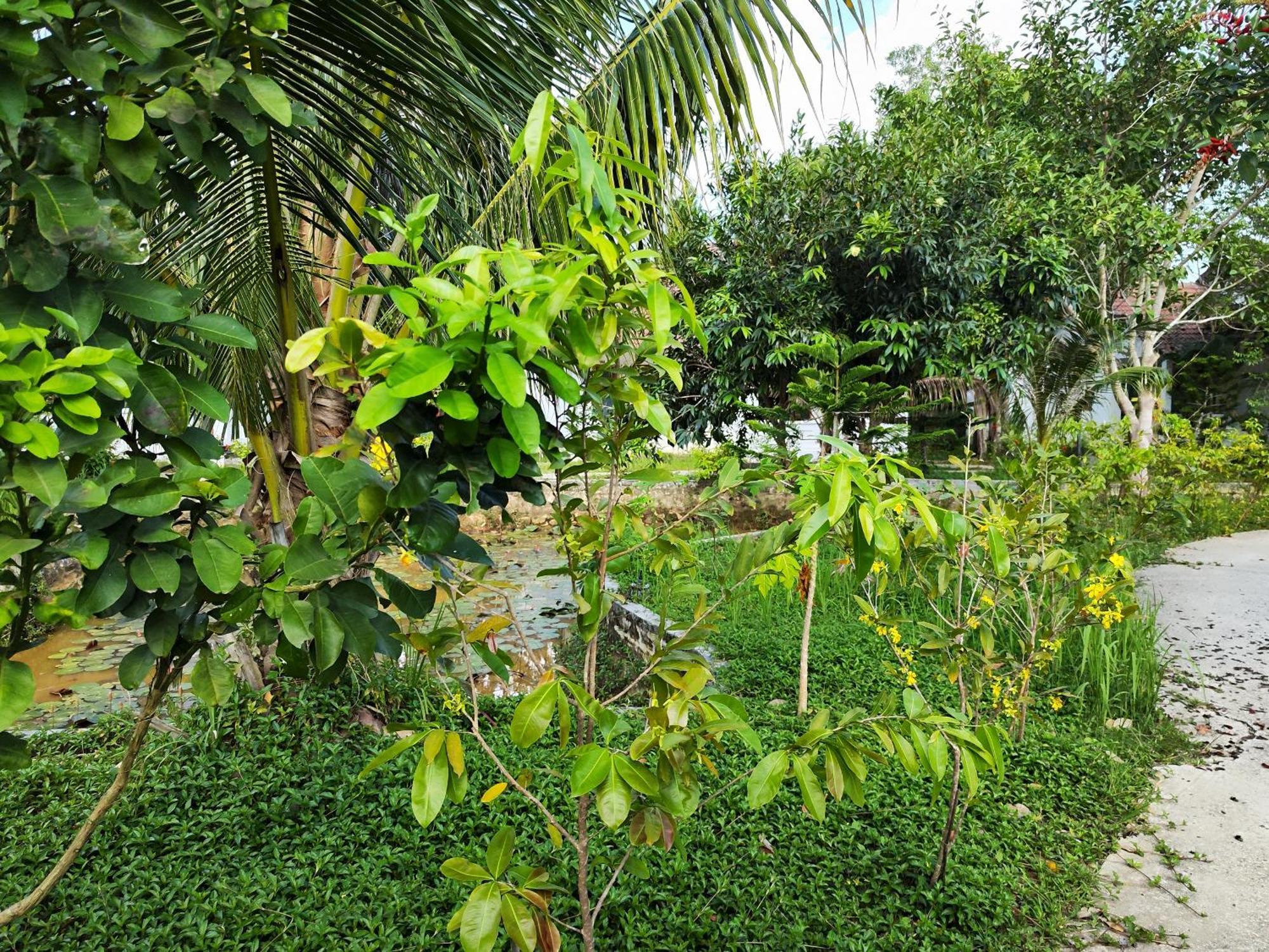 Y Village Resort Phu Quoc Exteriér fotografie