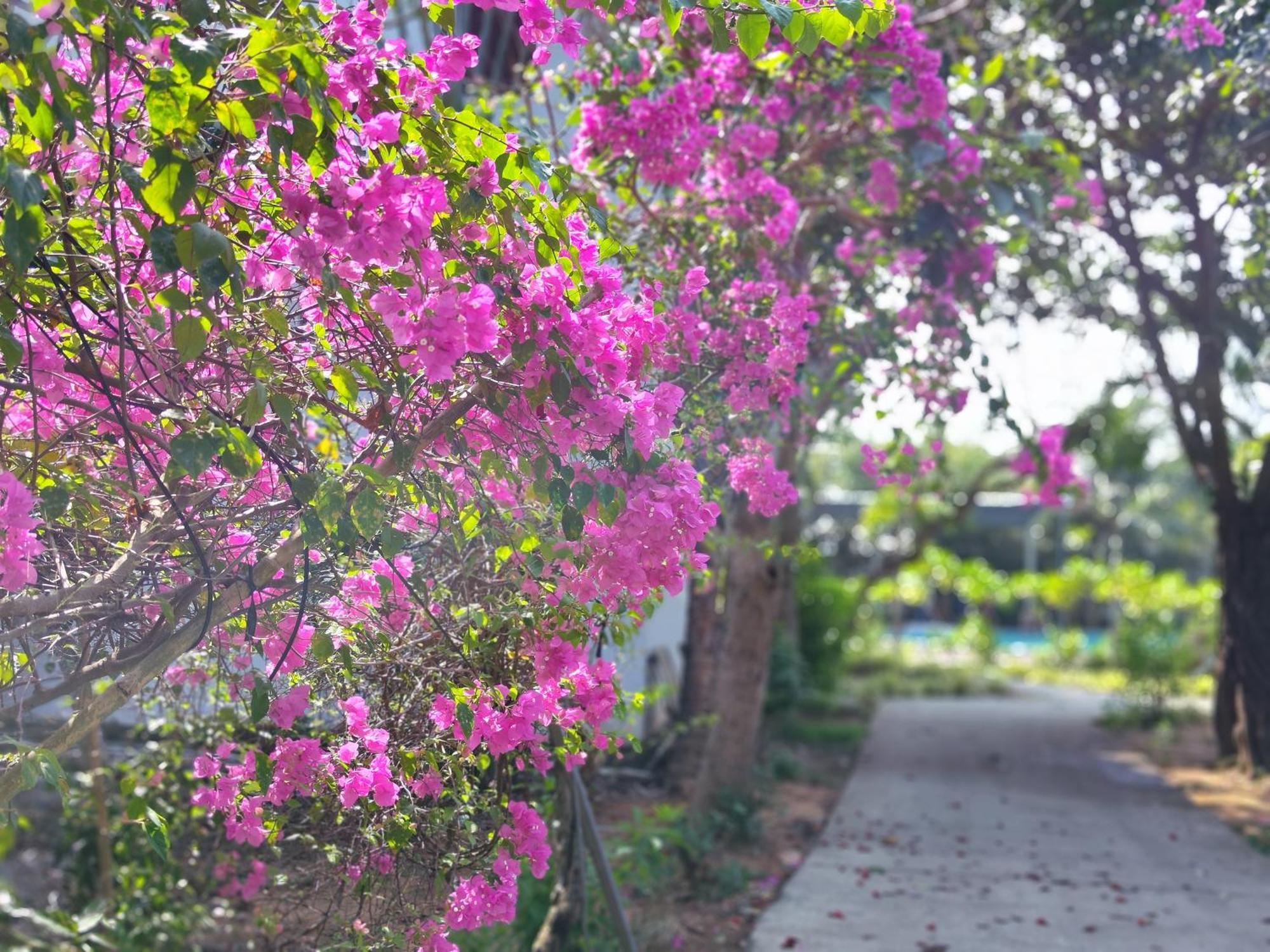 Y Village Resort Phu Quoc Exteriér fotografie